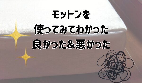 モットンを使ってみてわかった良かった＆悪かった