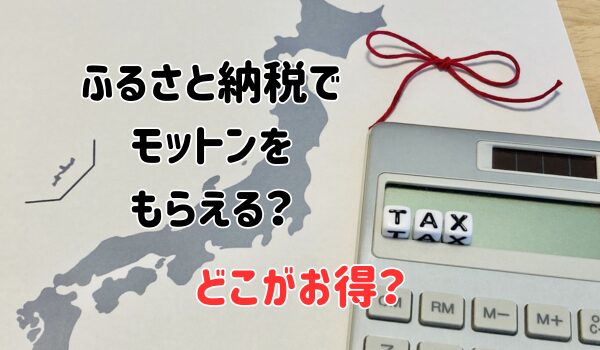 ふるさと納税でモットンをもらえる？どこがお得？